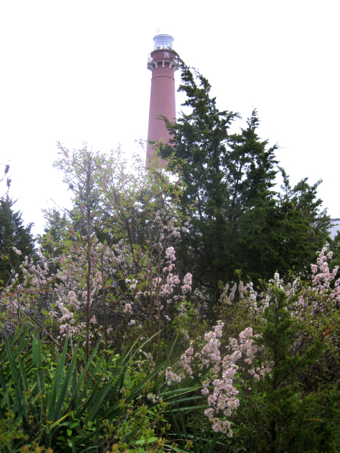 Barnegat Lighthouse