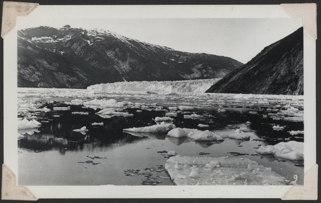 Taku Glacier