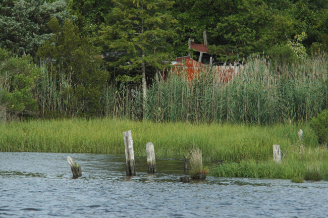 Remains of a pier and industrial facility along the Cape Fear River