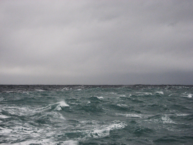 The demarcation line between glacial meltwater coming from the Glacier Bayregion and oceanic water in the Gulf of Alaska