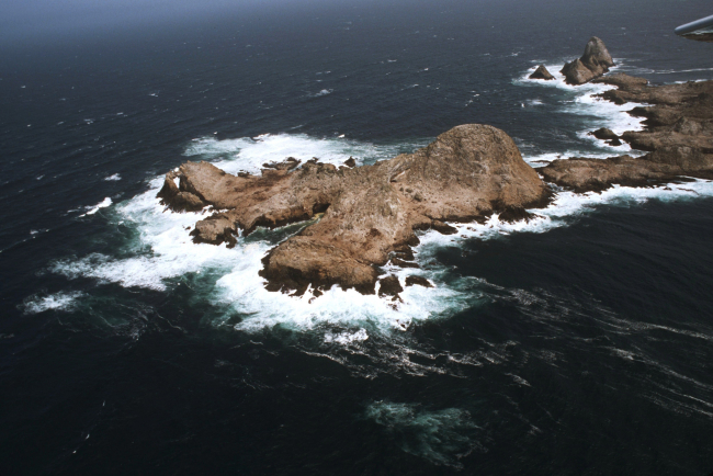 Aerial views of the wind-swept sea-swept Farallons, a virtual wilderness lessthan thirty miles from downtown San Francisco