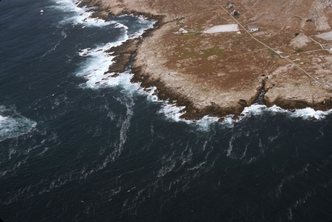Aerial views of the wind-swept sea-swept Farallons, a virtual wilderness lessthan thirty miles from downtown San Francisco