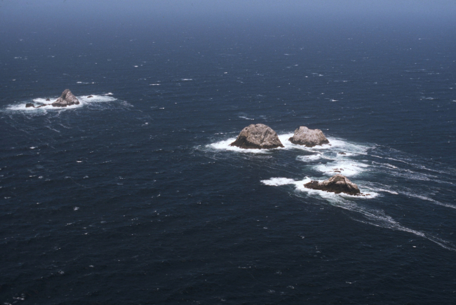 Aerial views of the wind-swept sea-swept Farallons, a virtual wilderness lessthan thirty miles from downtown San Francisco