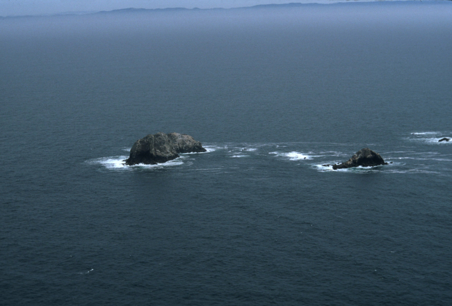 Aerial views of the wind-swept sea-swept Farallons, a virtual wilderness lessthan thirty miles from downtown San Francisco