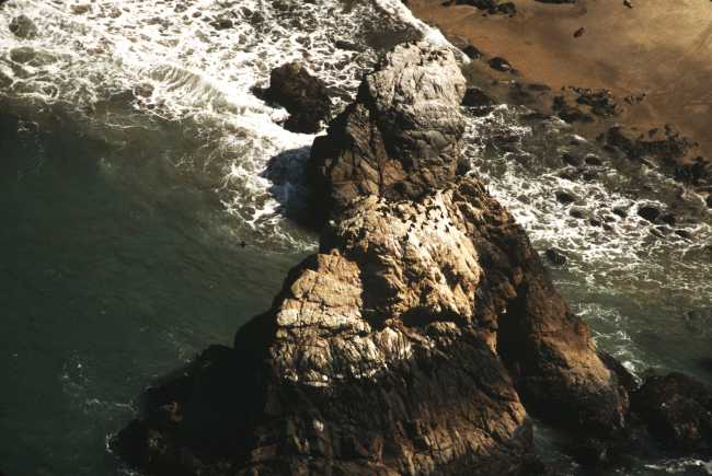 Northwest Rock