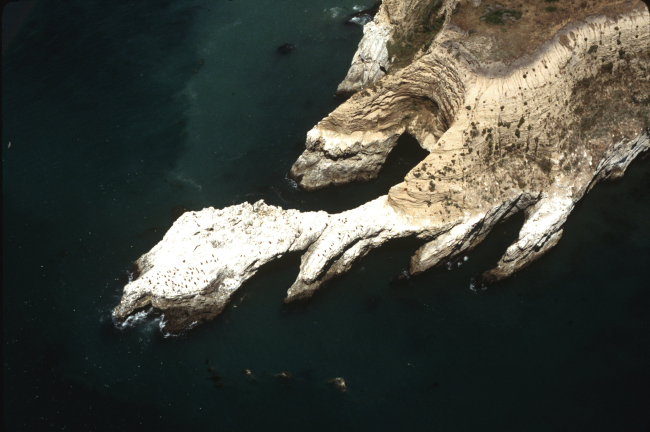 The bizarrely wave-sculpted headland at Point Resistance (or maybe not-so-resistant