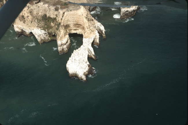 The bizarrely wave-sculpted headland at Point Resistance (or maybe not-so-resistant