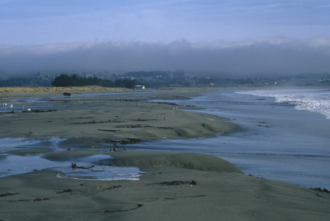Doran Beach