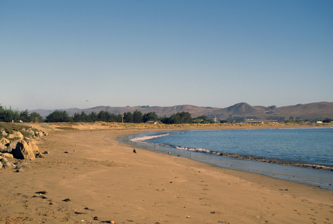 Doran Beach