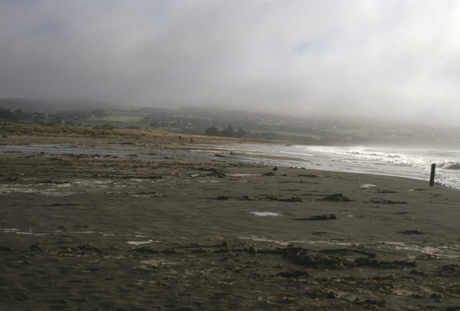 Doran Beach