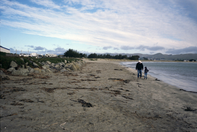 Doran Beach