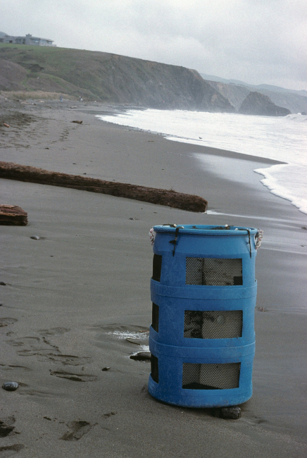 Doran Beach