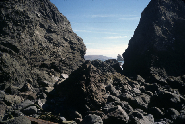 Pinnacle Gulch Beach