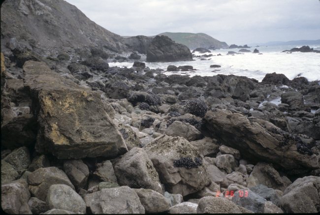 Pinnacle Gulch Beach