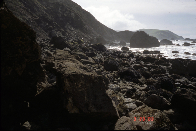 Pinnacle Gulch Beach