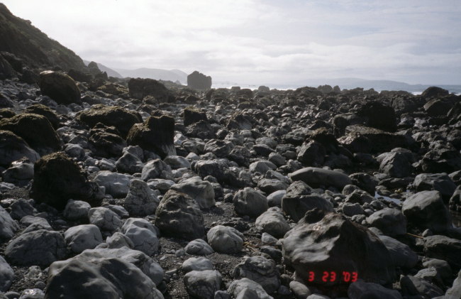 Pinnacle Gulch Beach