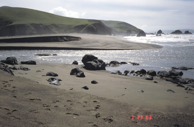Pinnacle Gulch Beach