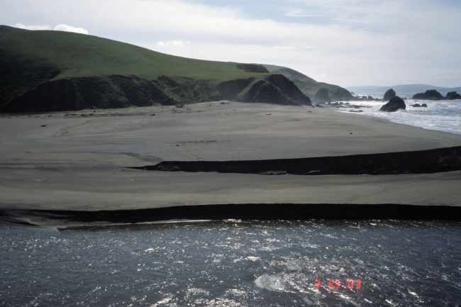 Pinnacle Gulch Beach