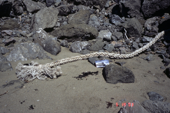 Pinnacle Gulch Beach