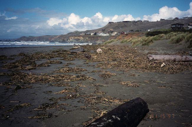 Dillon Beach