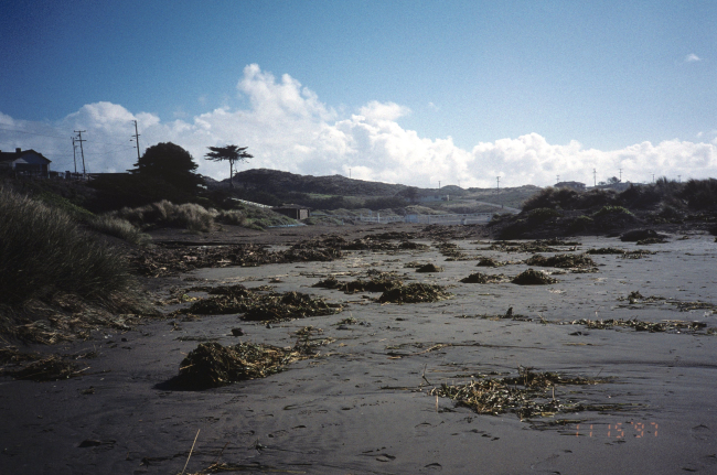 Dillon Beach
