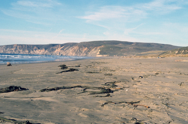 Kehoe Beach