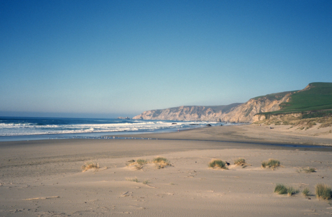 Kehoe Beach