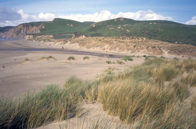 Kehoe Beach