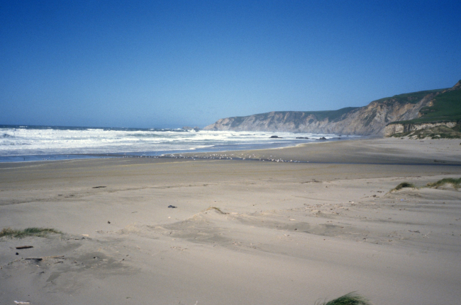 Kehoe Beach