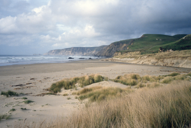 Kehoe Beach