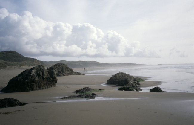 Kehoe Beach