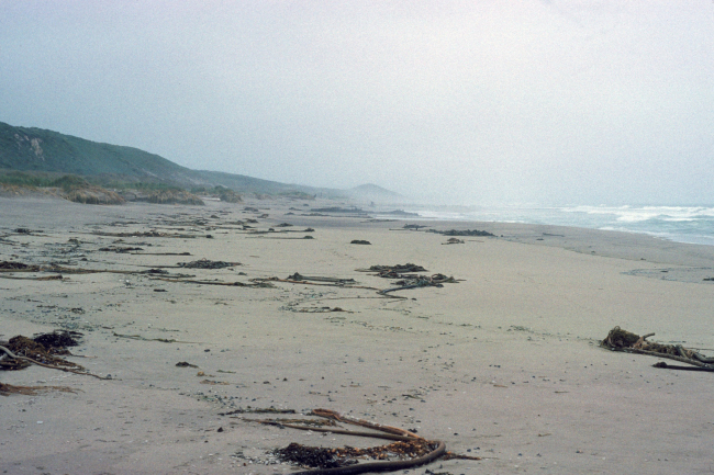 Point Reyes Great Beach