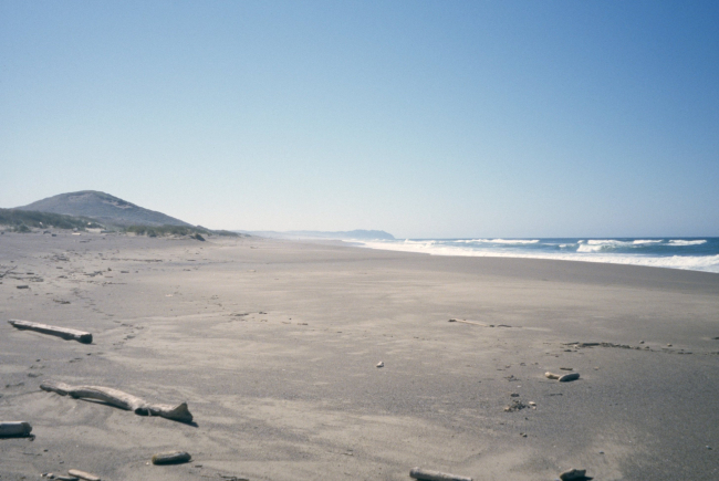 Point Reyes Great Beach