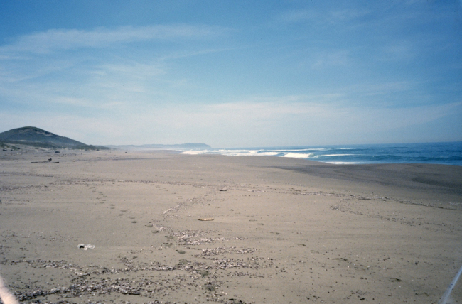 Point Reyes Great Beach