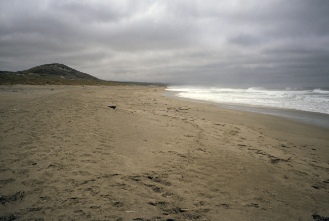 Point Reyes Great Beach