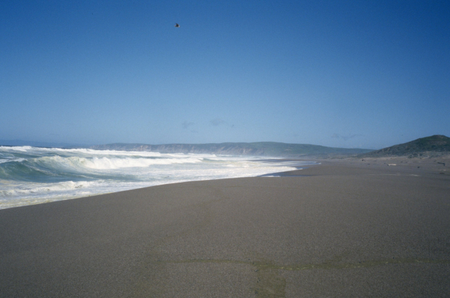 Point Reyes Great Beach