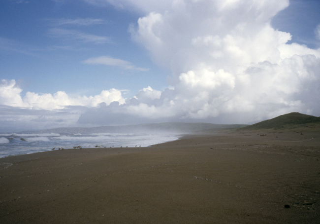 Point Reyes Great Beach