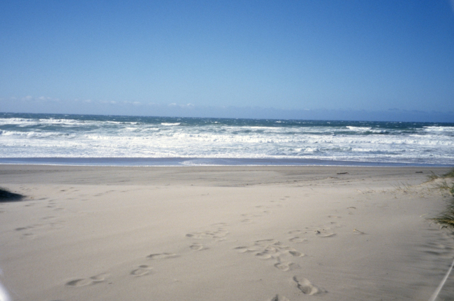 Point Reyes Great Beach