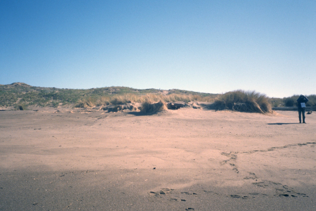 Point Reyes Great Beach