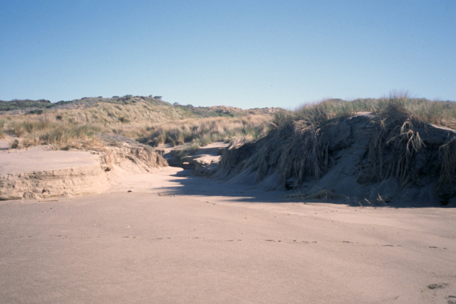 Point Reyes Great Beach