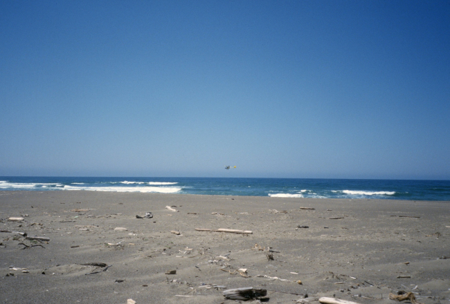 Point Reyes Great Beach