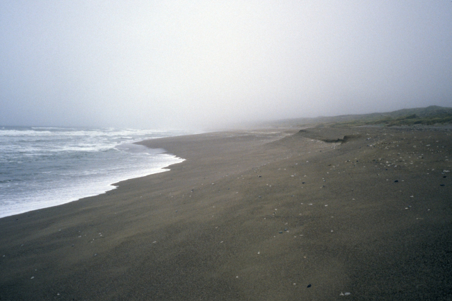 Point Reyes Great Beach