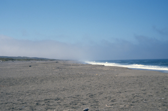Point Reyes Great Beach