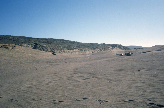 Point Reyes Great Beach