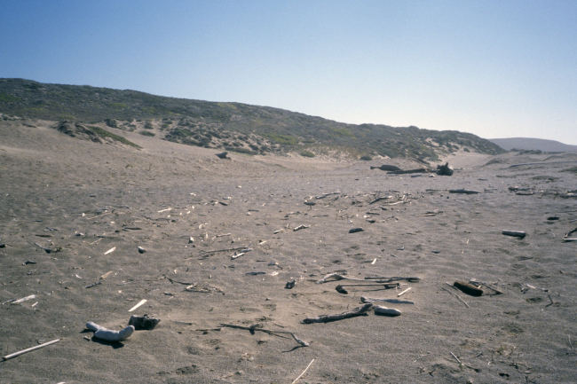 Point Reyes Great Beach