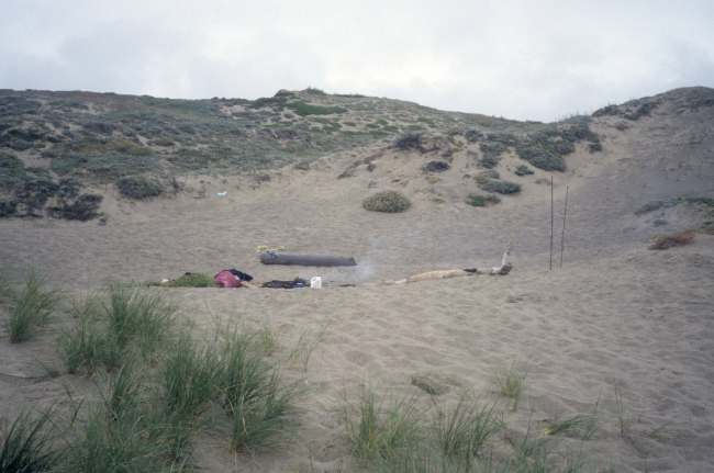 Point Reyes Great Beach
