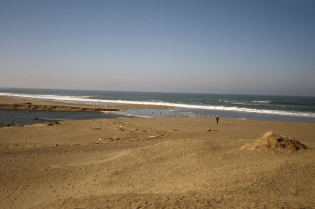 Point Reyes Great Beach