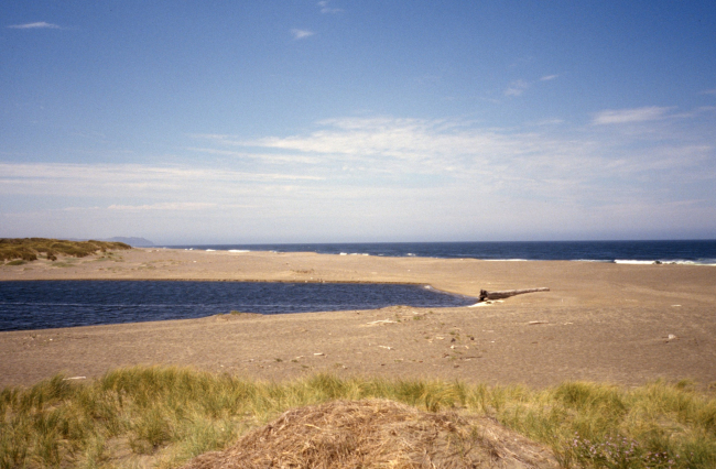 Point Reyes Great Beach