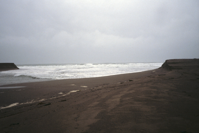 Point Reyes Great Beach