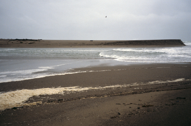 Point Reyes Great Beach